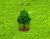hollytree_upgrade_0.gif