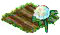 hydrangea.png
