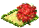 Иксора.png