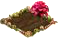 Имбирь зерумбет.png