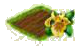 Ирис.png