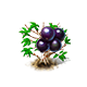 jabuticaba_upgrade_0_big.png