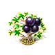 jabuticaba_upgrade_2_big.png