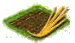Ячмень.png