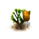 joshuatree_upgrade_0_big.png