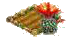 Кактус.png