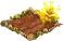Калатея полосатая.png