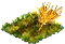 kamut.png