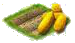 Картофель.png