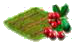 Клюква.png