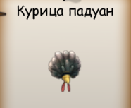 курица.png