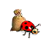 ladybug_feed.png