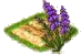 Лаванда.png