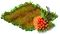 Лесная клубника.png