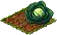 Листовая капуста.png