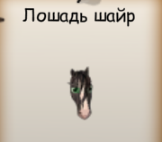 Лошадь.png