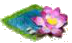 Лотос.png