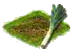 Лук-порей.png