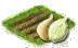 Луковица.png