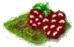 Малина.png