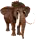 mammothElephant.png