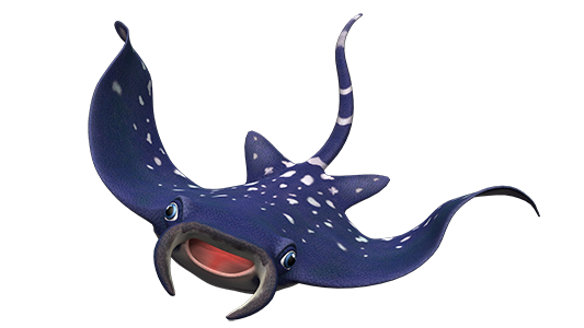 mantaray_stable_00_regular_MR_1.png