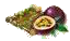 Маракуйя.png