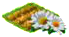Маргаритка.png