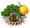 marula_upgrade_1.png