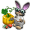melonjun2017_questicon_big.png