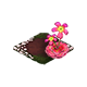 mexicanbutterwort_big.png