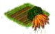 Морковь.png