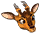 muntjacdeer.png