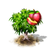 nectarine_upgrade_0_big.png