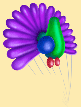 neonballoon_peacock_1.gif