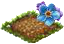 Незабудка.png