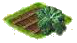 Огородная капуста.png