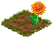 orangedahlia.png