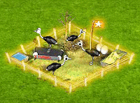 ostrich_1.gif