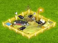 ostrich_2.gif