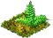 Папоротник.png