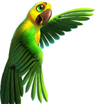 parrot 1.png