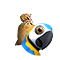 parrot_feed.png