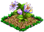 passiflora.png