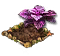 Перилла.png