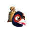 pheasant_feed.png