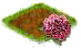 Пион.png