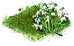 Подснежник.png