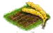 Полба.png