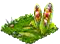 rainbowcorn.png